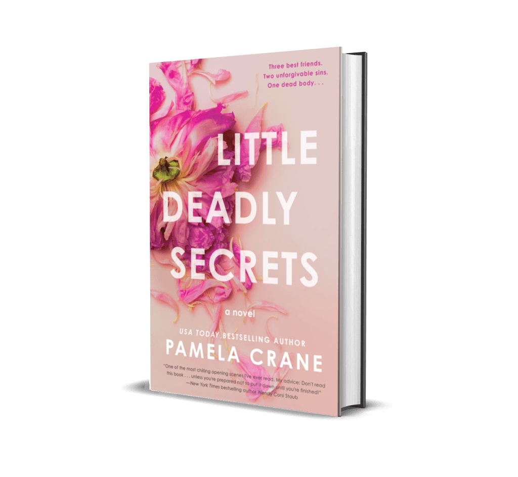 Little Deadly Secrets, a twisty domestic thriller